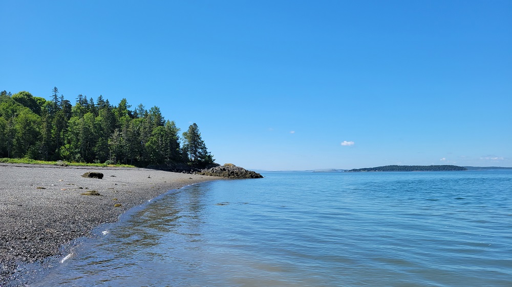 Beach at the Campobello Island to Deer Island ferry point