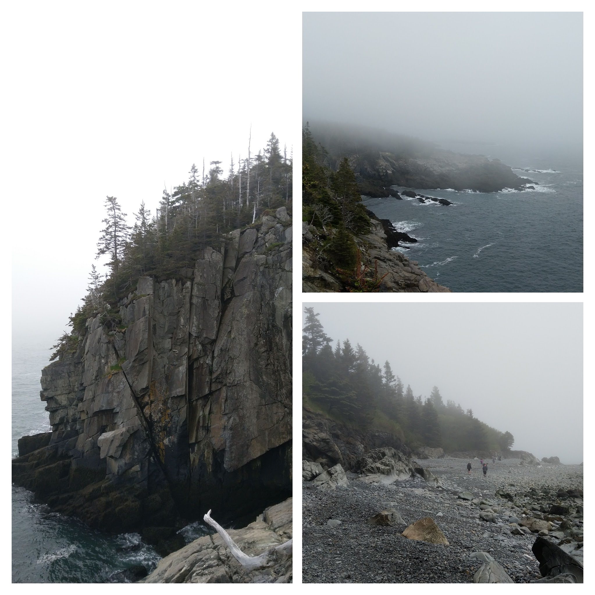 Quoddy Head State Park, Maine