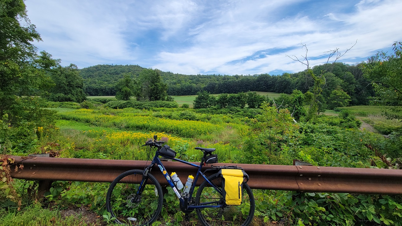 My bike in front of a field of flowers in Conway