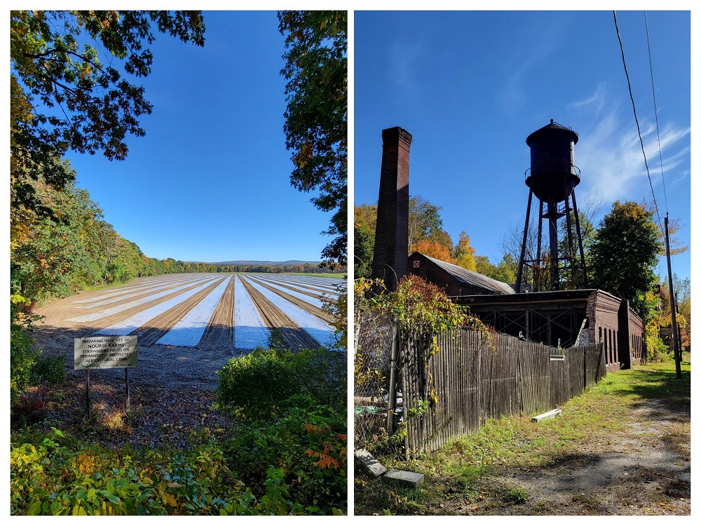 Rusty looking water tower, and fields of strawberry