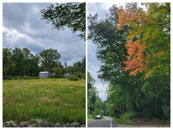 A field with a house in the back, and brilliantly colored tree, ready for fall